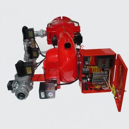 Đầu đốt GAS